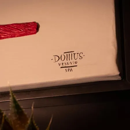 Domus Vesuvio לינה וארוחת בוקר 4*
