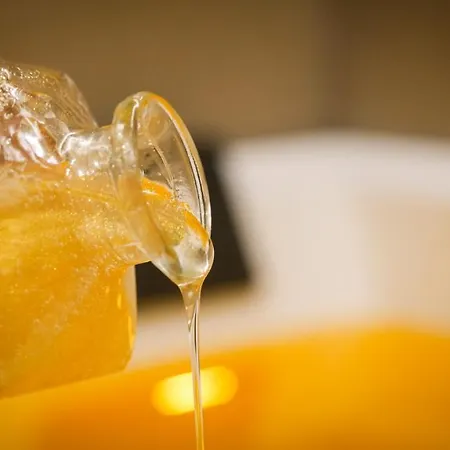 Bed & Breakfast Domus Vesuvio Napoli